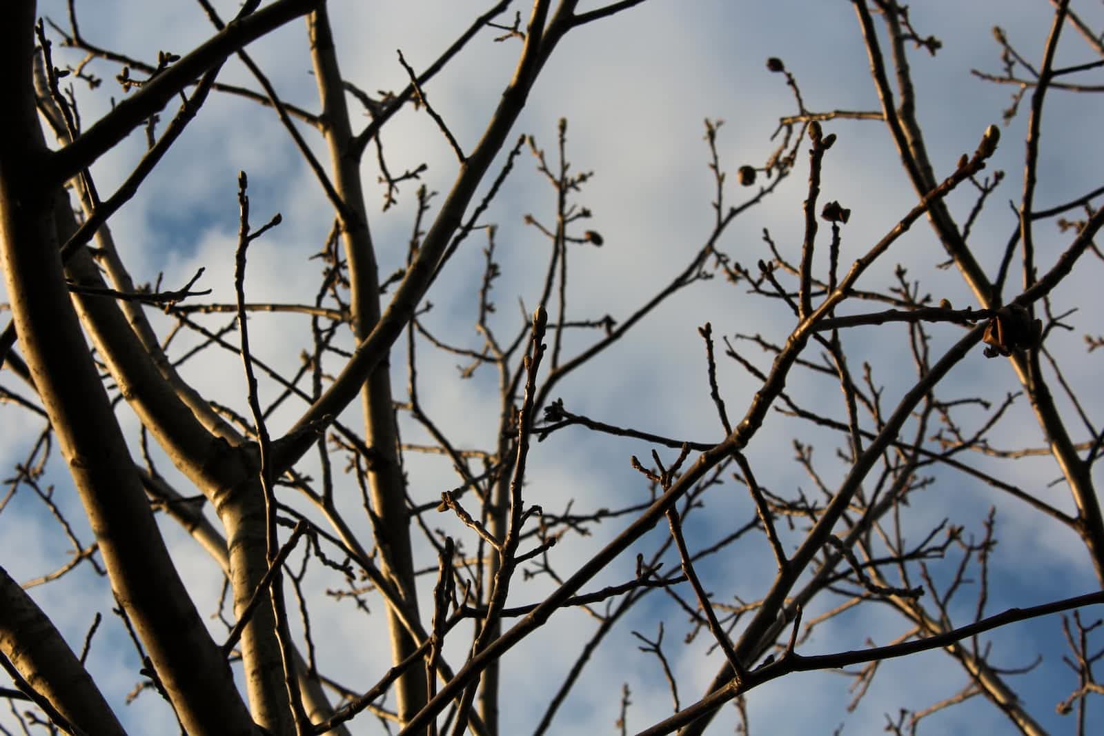 MySQL ํธ๋์ญ์
๊ฒฉ๋ฆฌ ์์ค